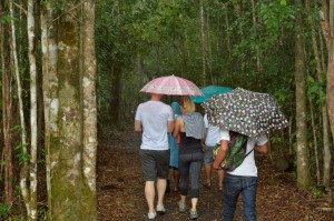 Trans Borneo Expedition 2014     